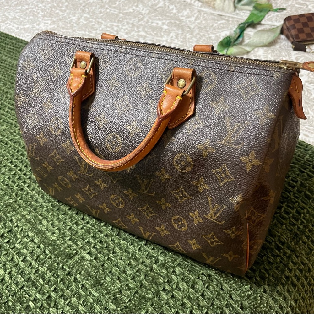 Louis Vuitton Classic Speedy 30